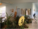 The school corridor