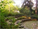 The school garden