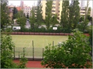 The school sports ground