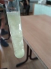 Izolované DNA z kiwi