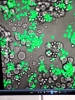 V laboratoři modulace genové exprese - nanomateriály