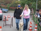 Chůze se slepeckým psem