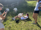 Největší atrakce byla mazlivá kůzlátka