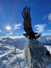 Kitzsteinhorn