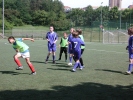 Fotbal
